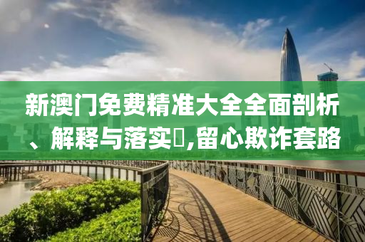 新澳门免费精准大全全面剖析、解释与落实​,留心欺诈套路