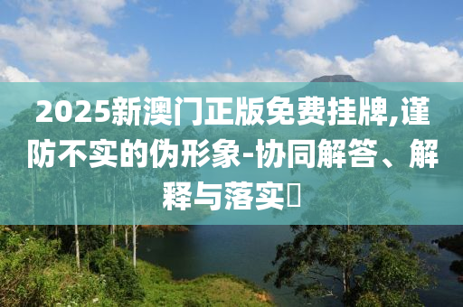 2025新澳门正版免费挂牌,谨防不实的伪形象-协同解答、解释与落实​