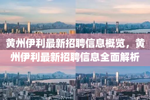 黄州伊利最新招聘信息概览，黄州伊利最新招聘信息全面解析