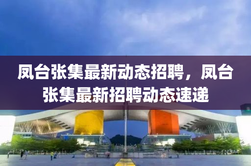 凤台张集最新动态招聘，凤台张集最新招聘动态速递