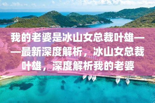 我的老婆是冰山女总裁叶雄——最新深度解析，冰山女总裁叶雄，深度解析我的老婆