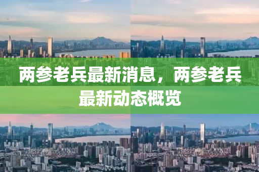 两参老兵最新消息，两参老兵最新动态概览