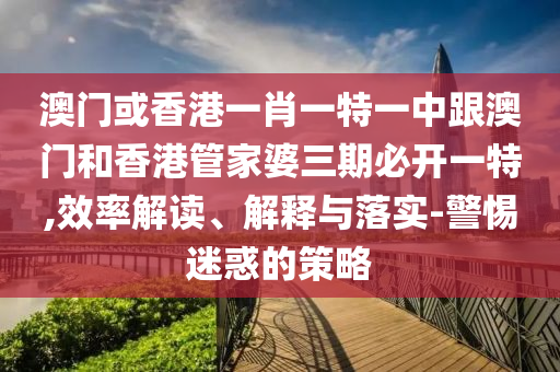 澳门或香港一肖一特一中跟澳门和香港管家婆三期必开一特,效率解读、解释与落实-警惕迷惑的策略