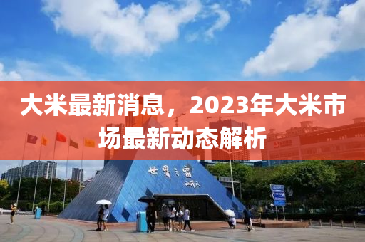大米最新消息，2023年大米市场最新动态解析山东水清源环保科技有限公司