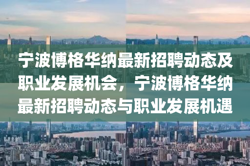 宁波博格华纳最新招聘动态及职业发展机会，宁波博格华纳最新招聘动态与职业发展机遇