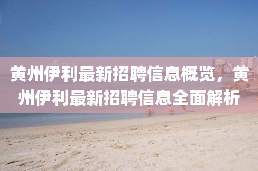 黄州伊利最新招聘山东水清源环保科技有限公司信息概览，黄州伊利最新招聘信息全面解析