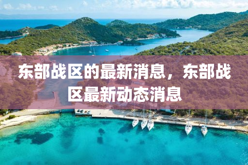 东部战区的最新消息，东部战区最新动态消息
