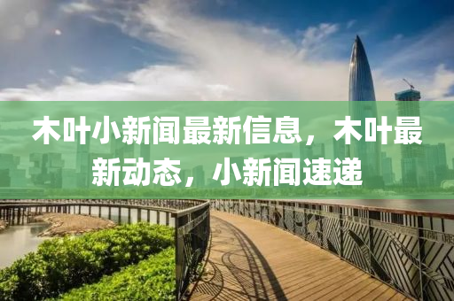 木叶小新闻最新信息，木叶最新动态，小新闻速递