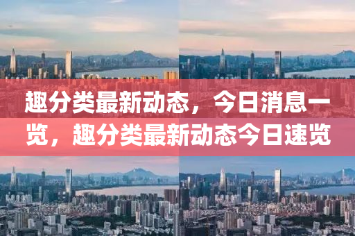 趣分类最新动态，今日消息一览，趣分类最新动态今日速览