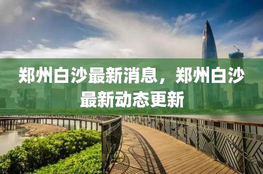 郑州白沙最新消息，郑州白沙最新动态更新