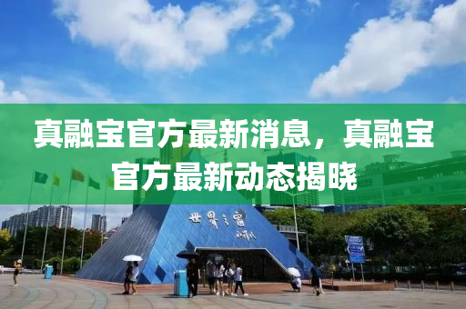 真融宝官方最新消息，真融宝官方最新动态揭晓