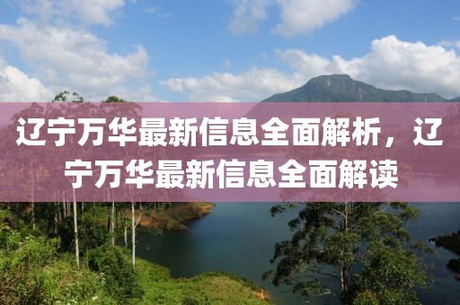 辽宁万华最新信息全面解析，辽宁万华最新信息全面解读