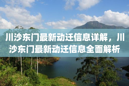 川沙东门最新动迁信息详解，川沙东门最新动迁信息全面解析山东水清源环保科技有限公司