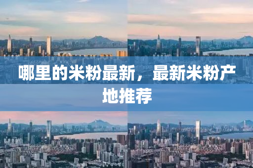 哪里的米粉最新，最新米粉产地推荐山东水清源环保科技有限公司