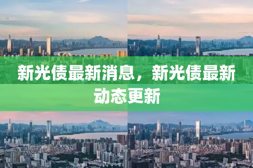 新光债最新消息，新光债最新动态更新山东水清源环保科技有限公司