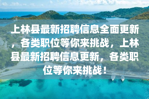 上林县最新招聘信息全面更新，各类职位等你来挑战，上林县最新招聘信息更新，各类职位等你来挑战！山东水清源环保科技有限公司