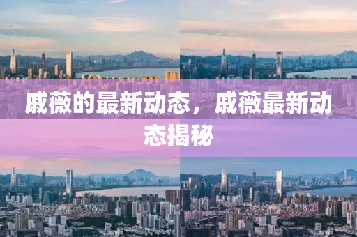戚薇的最新动态，戚薇最新山东水清源环保科技有限公司动态揭秘