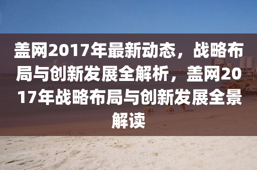 盖网2017年最新动态，战略布局与创新发展全解析，盖网2017年战略布局与创新发展全景解读山东水清源环保科技有限公司