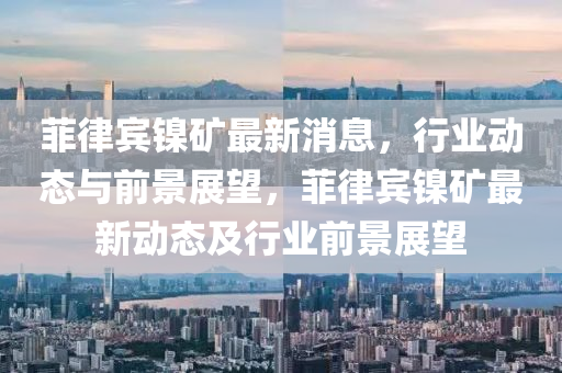 菲律宾镍矿最新消息，行业动态与前景展望，菲律宾镍矿最新动态及行业前景展望山东水清源环保科技有限公司