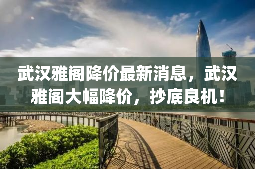 武汉雅阁降价最新消息，武汉雅阁大幅降价，抄底良机！山东水清源环保科技有限公司