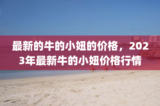 最新的牛的小妞的价格，2023年最新牛的小妞价格行情山东水清源环保科技有限公司