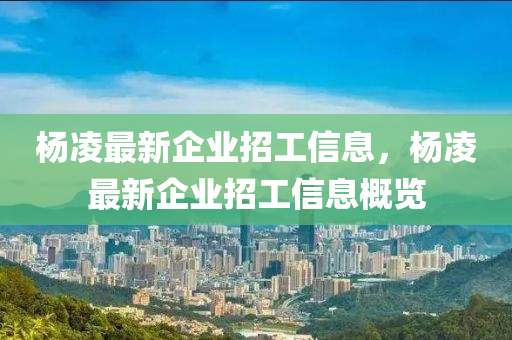 2025年5月24日 第41页