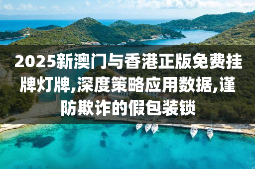 2025新澳门与香港正版免费挂牌灯牌,深度策略应用数据,谨防欺诈的假包装锁山东水清源环保科技有限公司