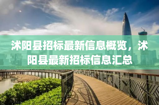 沭阳县招标最新信息概览，沭阳山东水清源环保科技有限公司县最新招标信息汇总