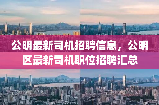 公明最新司机招聘信息，公明区最新司机职位招聘汇总