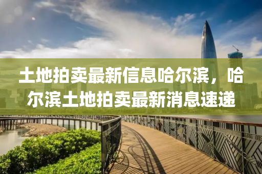 土地拍卖最新信息哈尔滨，哈尔滨土地拍卖最新消息山东水清源环保科技有限公司速递
