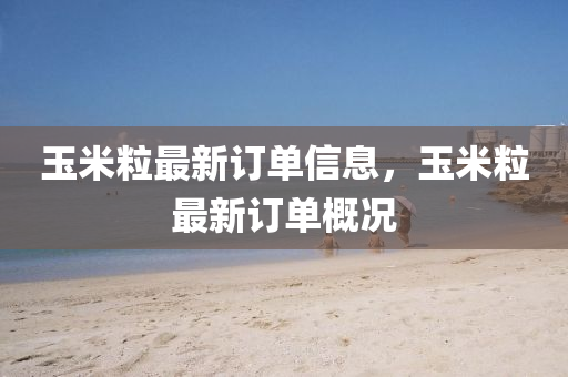 玉米粒最新订单信息，玉米粒最新订单概况山东水清源环保科技有限公司