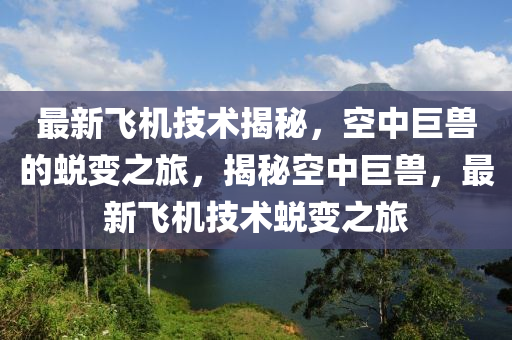 最新飞机技术揭秘，空中巨兽的蜕变之旅，揭秘空中巨兽，最新飞机技术蜕变之旅山东水清源环保科技有限公司