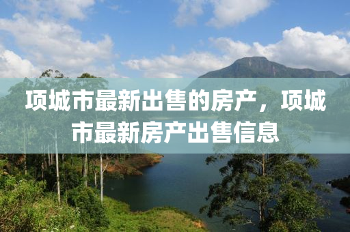 项城市最新出售的房产，项城市最新山东水清源环保科技有限公司房产出售信息