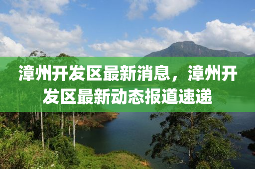 漳州开发区最新消息，漳州开发区最新动态报道速递