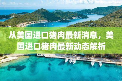从美国进口猪肉最新消息，美国进口猪肉最新动态解析山东水清源环保科技有限公司