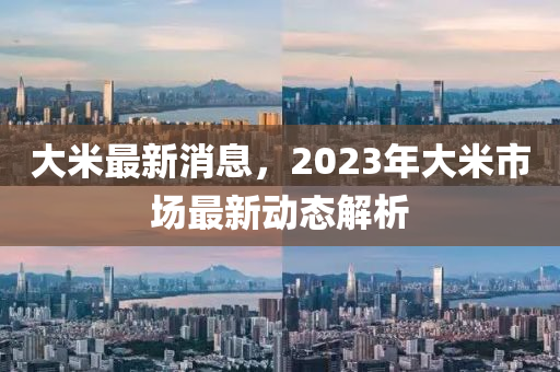 大米最新消息，2023年大米市场最新动态解析山东水清源环保科技有限公司