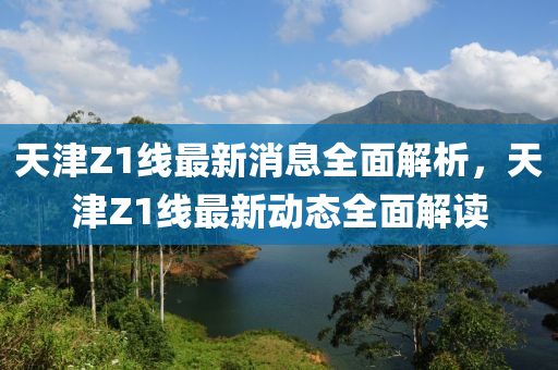 天津Z1线最新消息全面解析，天津Z1线最新动态全面解读山东水清源环保科技有限公司