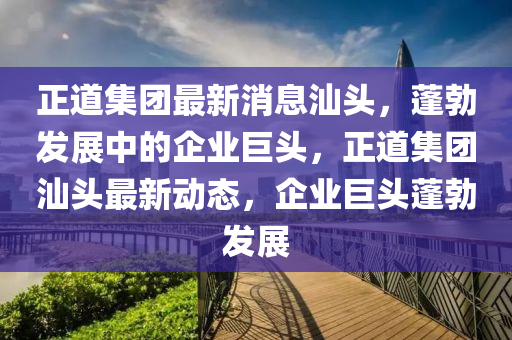第620页