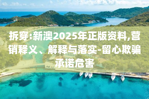 拆穿:新澳2025年正版资料,营销释义、解释与落实-留心欺骗承诺危害