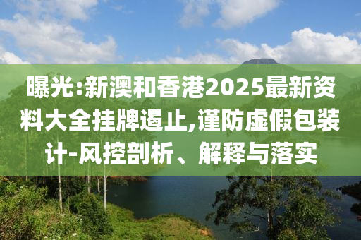 曝光:新澳和香港2025最新资料大全挂牌遏止,谨防虚假包装计-风控剖析、解释与落实