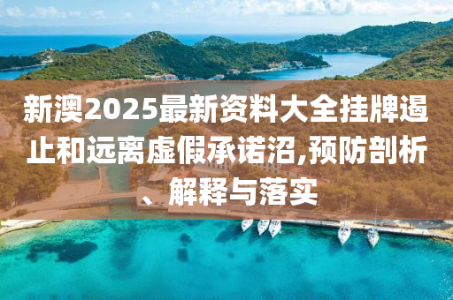 新澳2025最新资料大全挂牌遏止和远离虚假承诺沼,预防剖析、解释与落实