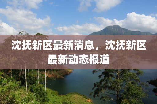 沈抚新区最新消息，沈抚新区最新动态报道