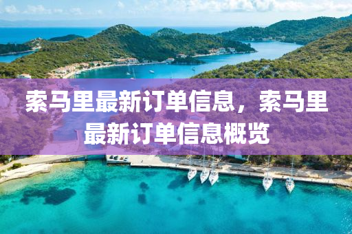 索马里最新订单信息，索马里最新订单信息概览