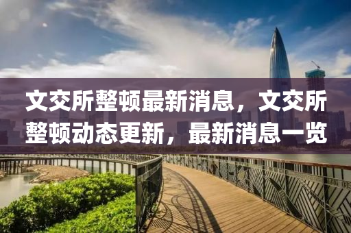文交所整顿最新消息，文交所整顿动态更新，最新消息一览