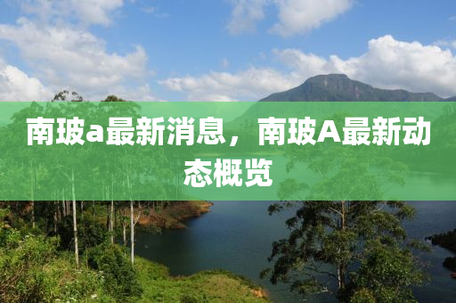 南玻a最新消息，南玻A最新动态概览