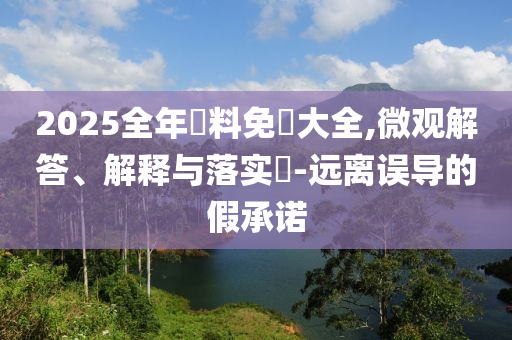 2025全年資料免費大全,微观解答、解释与落实​-远离误导的假承诺