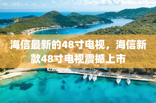 海信最新的48寸电视，海信新款48寸电视震撼上市