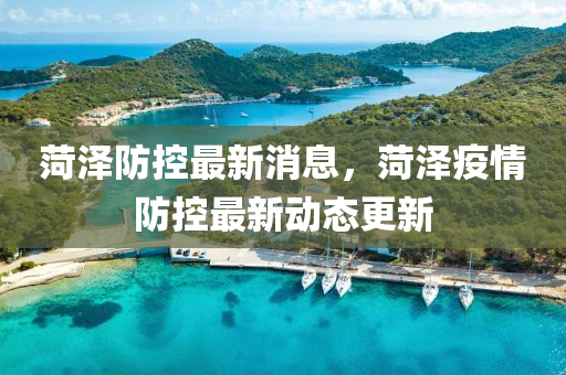 菏泽防控最新消息，菏泽疫情防控最新动态更新