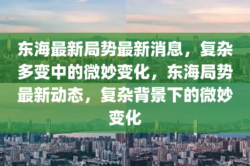 东海最新局势最新消息，复杂多变中的微妙变化，东海局势最新动态，复杂背景下的微妙变化