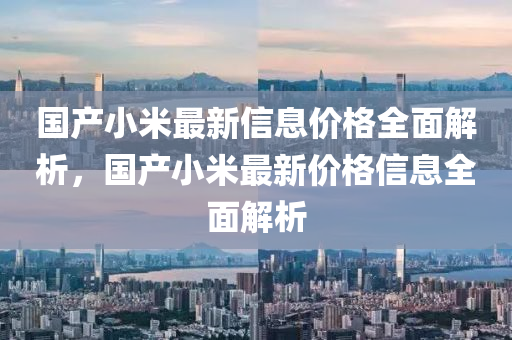 国产小米最新信息价格全面解析，国产小米最新价格信息全面解析